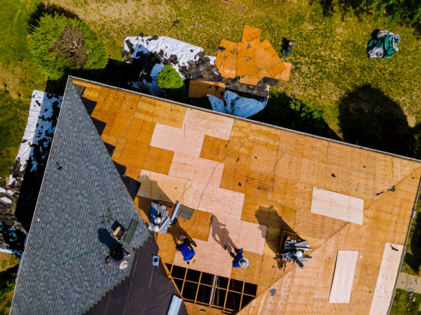 Best Commercial Roofing Services  in Chester, IL