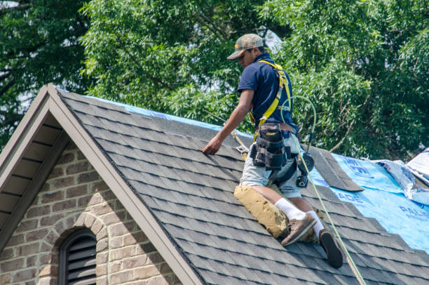 Best Metal Roofing Contractor  in Chester, IL